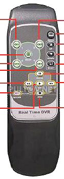 BestDVR Real Time DVR пульт для  BestDVR-401Light